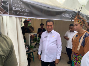 Sudah Ada Sejak 1890, Rantai Pasok Kopi Papua Bakal Dipererat Lagi