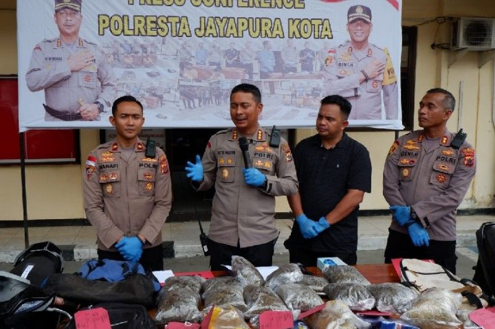 Warga Negara Papua Nugini Kedapatan Selundupkan 8,7 Kg Ganja di Jayapura