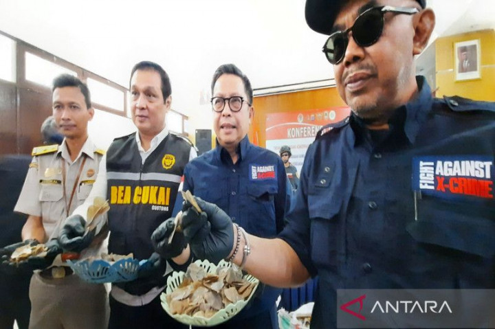 KLHK dan Bea Cukai Banjarmasin Sita 360 Kg Sisik Trenggiling