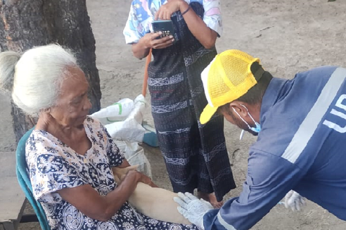 Warga Flores Diimbau Waspada Gigitan Anjing Rabies Pada Anak