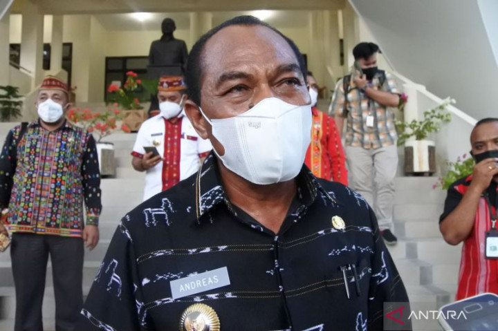 Rabies Merebak, Pemkab Ngada NTT Minta Warga Kandangkan Anjing