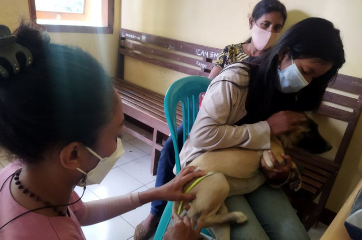 Dinkes Manggarai NTT Buat Rabies Center Tangani Kasus Gigitan HPR