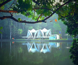 7 Rekomendasi Tempat Wisata Alam di Bogor