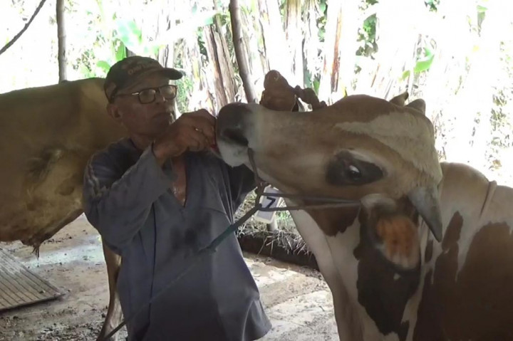 Lalu Lintas Hewan Ternak dari Luar Bekasi Diawasi Ketat