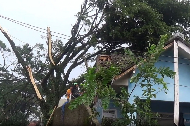 Ratusan Rumah Warga Bandung Rusak Tertimpa Pohon dan Angin Kencang