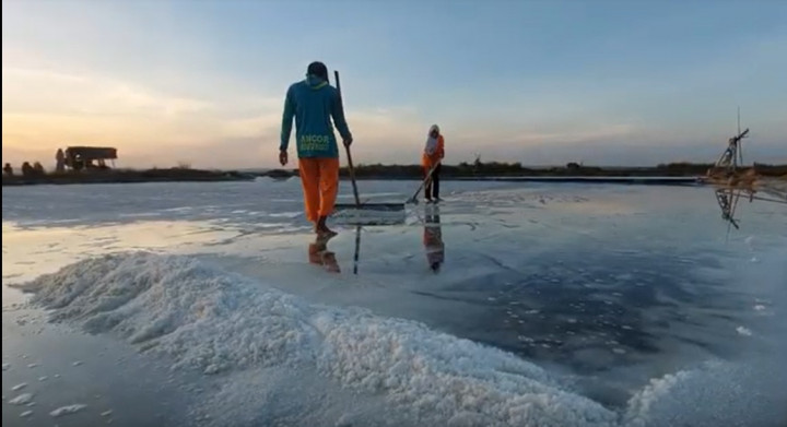Petani Garam di Sumenep Percepat Masa Panen karena Harga Melambung
