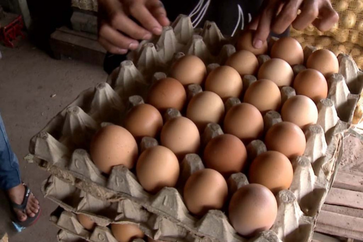 Harga Masih Tinggi, Permintaan Telur Berkurang