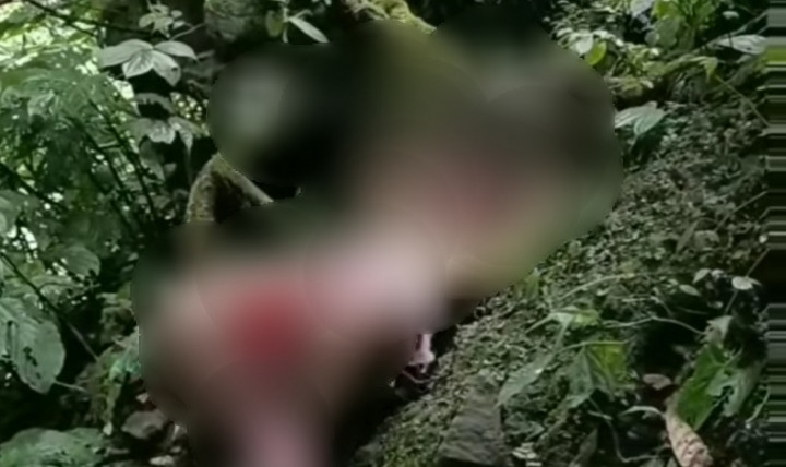 Pria Asal Malang Nekat Berkostum BDSM di Wisata Coban Glotak Demi Mantan Pacar