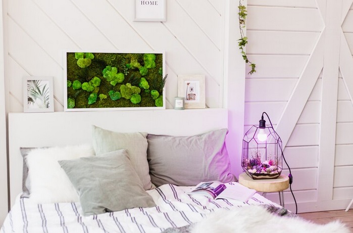 Lavender. Foto: Ilustrasi Freepik