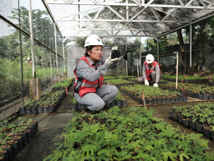 Pencegahan Kolaps Jadi Strategi Perusahaan Wujudkan Ekonomi Berkelanjutan