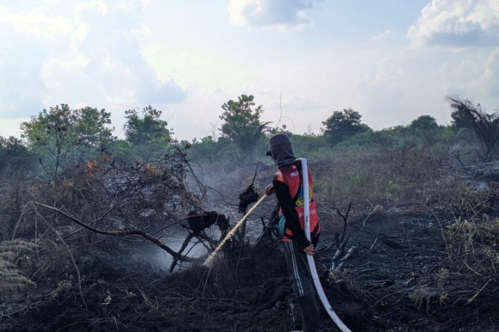21 Hektare Lahan Gambut di Palangka Raya Terbakar dari Januari