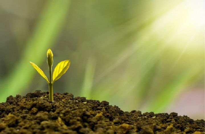 Perkembangan Ekonomi Hijau Indonesia di Tengah Minimnya Pendanaan