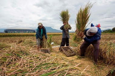 Khofifah Berambisi Mewujudkan Jatim sebagai Pusat Lumbung Nasional