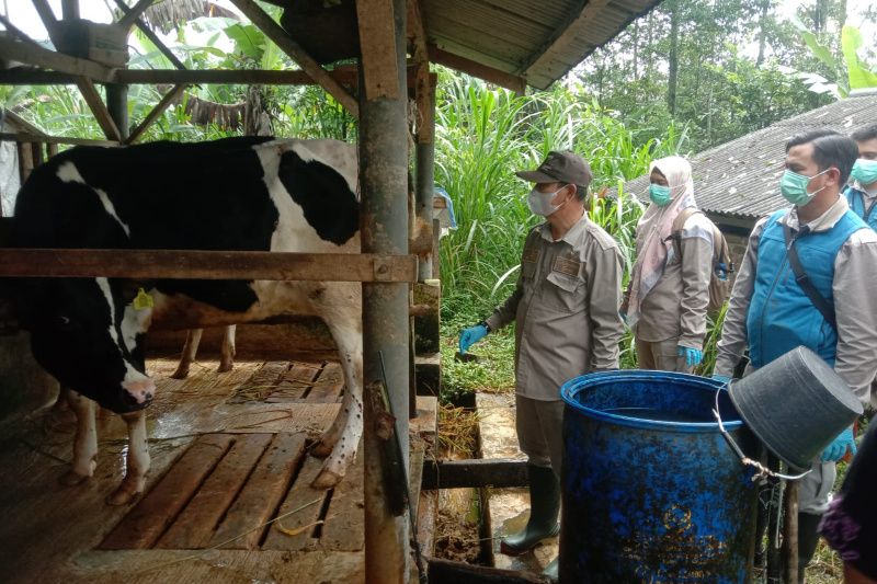 Diskanak Garut Siapkan 3.200 Vaksin LSD untuk Sapi