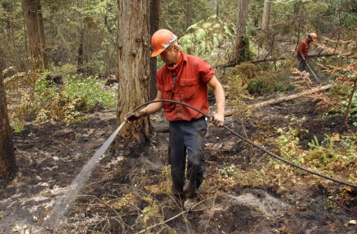 Makin Terkendali, Beberapa Titik Kebakaran Hutan Kanada Mulai Padam