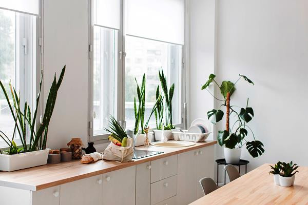 Penjelasan Feng Shui Soal Posisi Jendela Dekat Wastafel Dapur