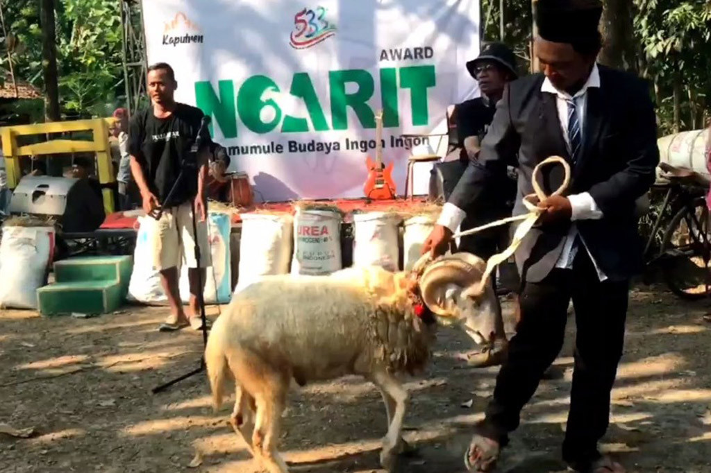 Ngarit Award, Kontes Unik Peternak Hewan Kurban di Majalengka