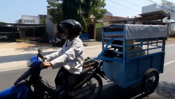 Ojek Kambing di Kudus Laris Manis Jelang Iduladha