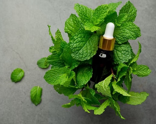 6 Khasiat Daun Mint untuk Perawatan Kulit yang Jarang Diketahui