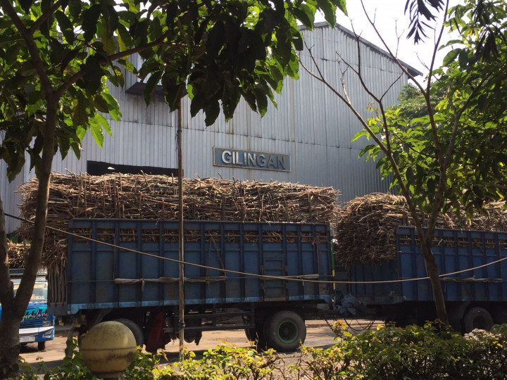 Pegawai yang Tewas saat Kecelakaan Kerja di Pabrik Gula Alami Banyak Luka