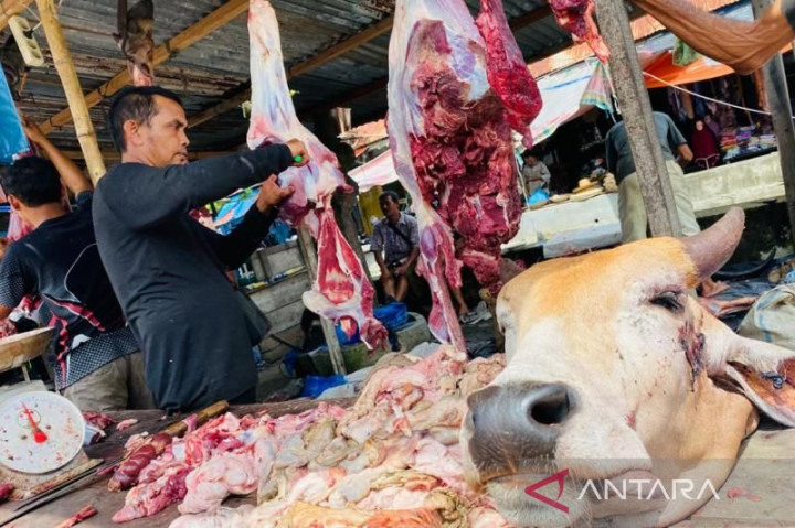 Ternak di Nagan Raya Aceh Dipastikan Sehat untuk Iduladha