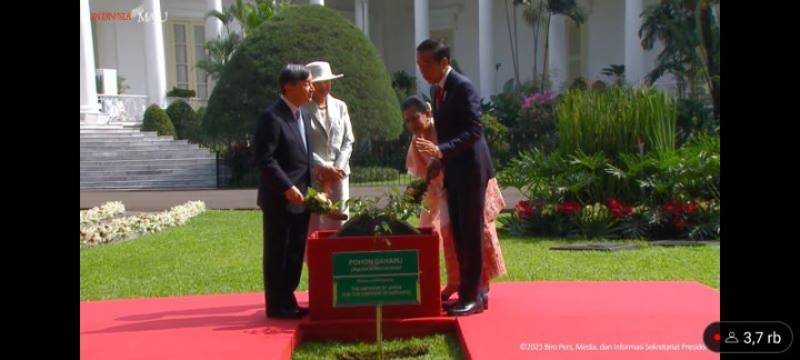 Presiden Jokowi dan Kaisar Jepang Naruhito Tanam Pohon Gaharu