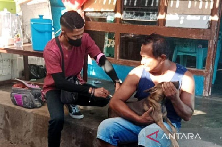 Antisipasi Rabies, 1.500 Ekor Anjing di Mataram Bakal Divaksinasi
