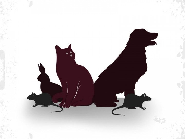 Cegah Rabies, Lakukan 3 Langkah Ini