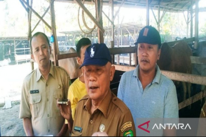 Dinas Pertanian Mandailing Natal Pastikan Hewan Kurban Sehat