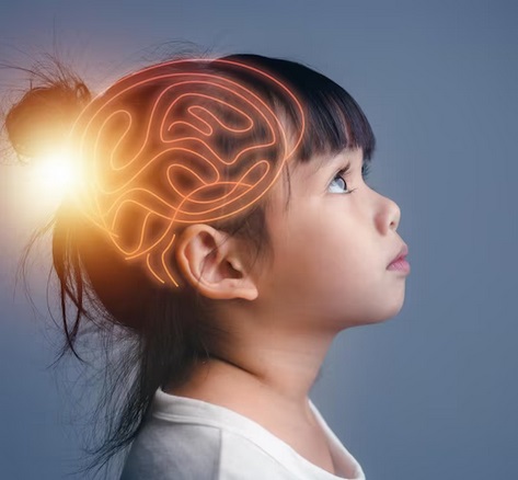 Memasuki Usia Prasekolah, Pastikan Perkembangan Otak Anak Optimal