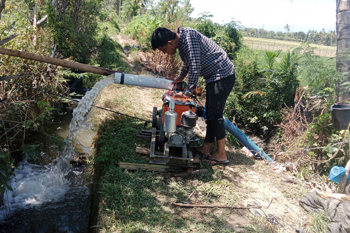 Kekeringan, Ratusan Sawah Di Pidie Terancam Gagal Panen