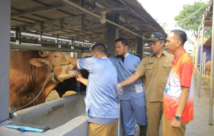 Hewan Kurban di Tangerang Dipastikan Bebas dari Penyakit