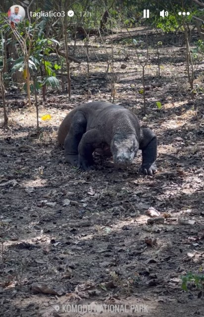Nicolas Tagliafico menikmati Pulau Komodo. (Foto: Tangkapan story Instagram Nicolas Tagliafico/@tagliafico3)
