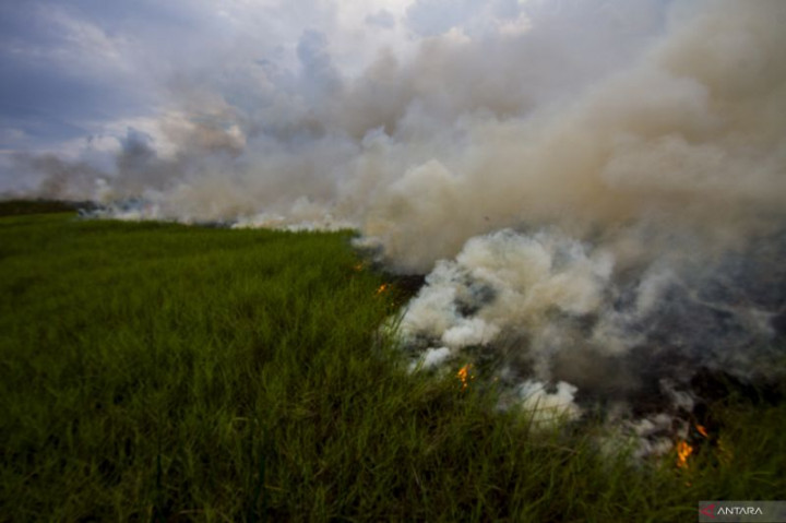 Karhutla Landa 132 Hektare Lahan di Kalsel