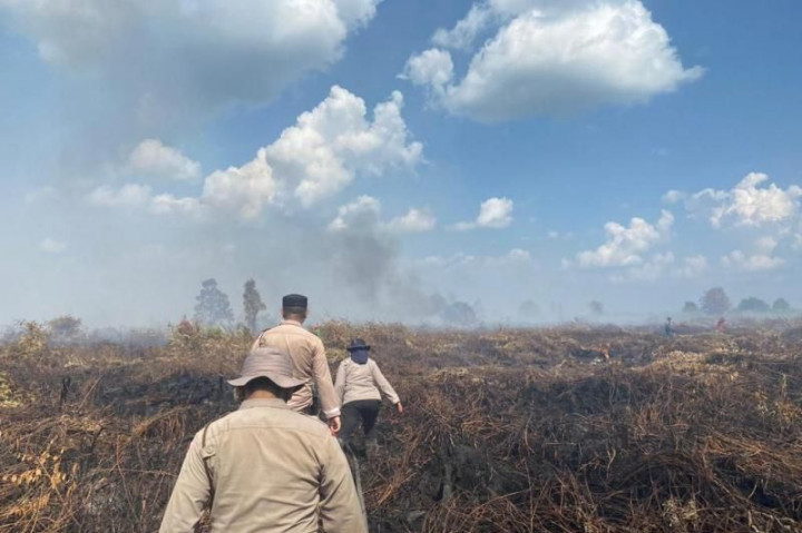 Kebakaran 20 Hektare Hutan dan Lahan di Rokan Hulu Dipadamkan Tim Gabungan
