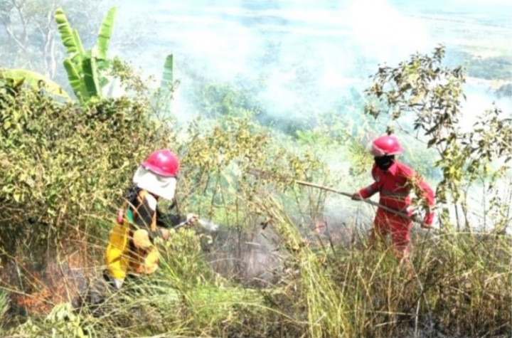 33 Titik Karhutla Landa 4 Kecamatan di Tanah Laut