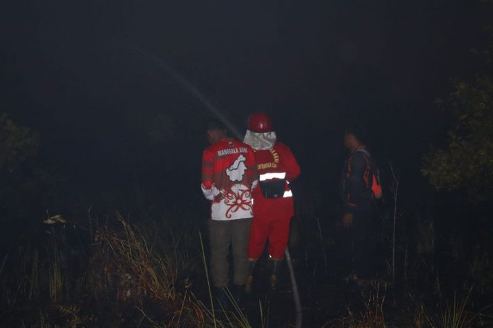 Kebakaran Hutan di Palangkaraya Diduga Akibat Pembukaan Lahan