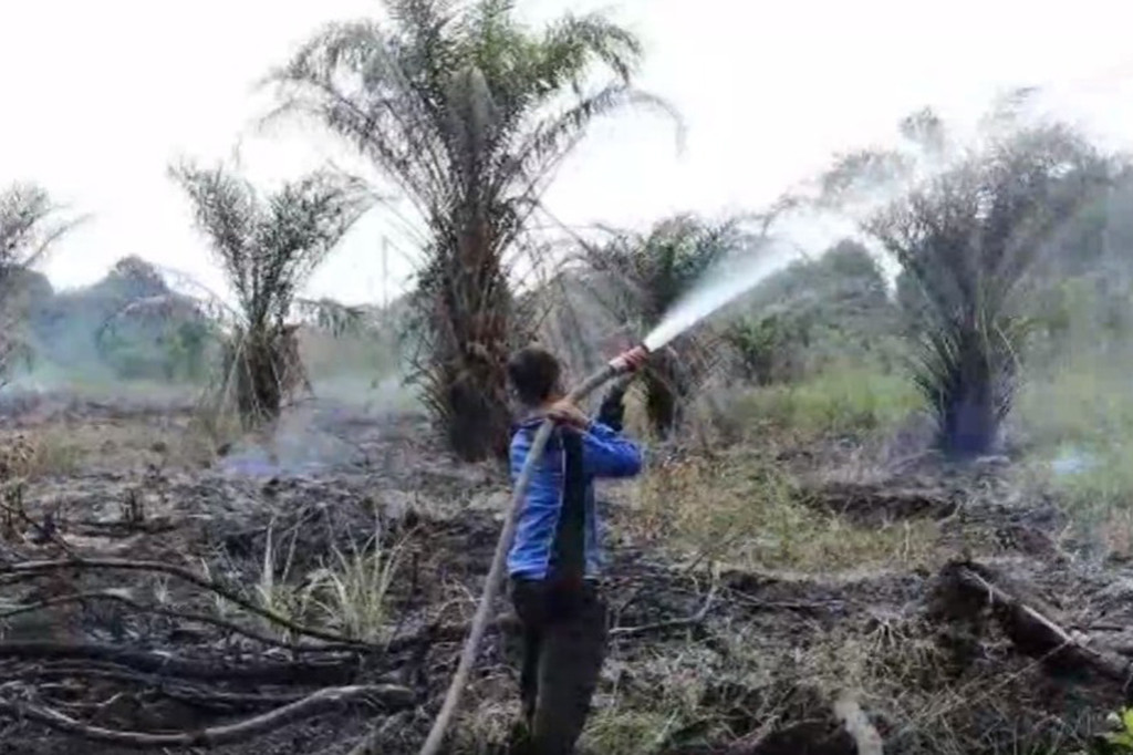 Karhutla Riau Merembet ke Suaka Margasatwa Gajah Sumatera