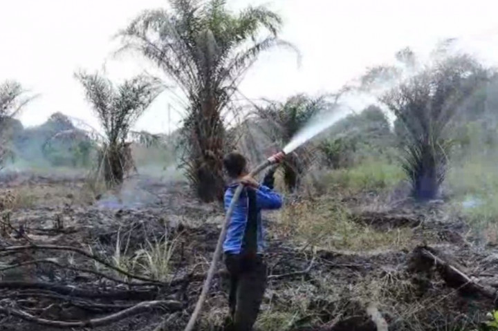 Karhutla Riau Merembet ke Suaka Margasatwa Gajah Sumatera