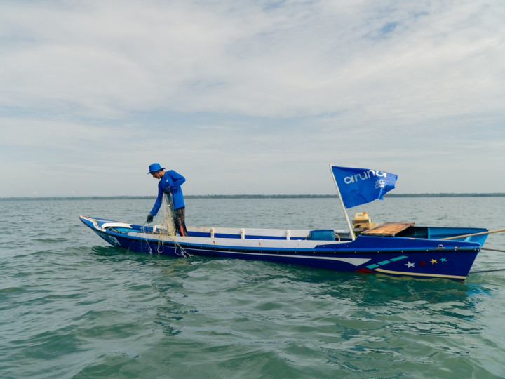 Tiga Hal Ini Bikin Tuna Jadi Primadona Ekspor Indonesia, <i>Cekidot</i>!