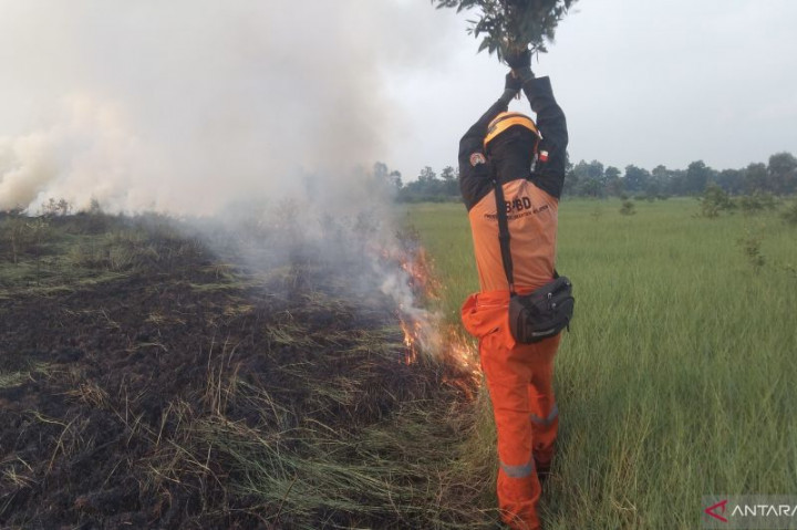 Lahan Bandara Syamsudin Noor Kembali Terbakar Akibat Kemarau