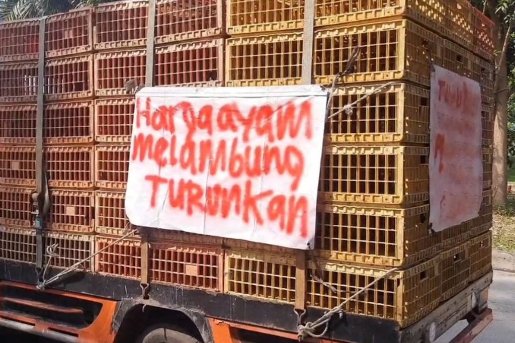 Foto Terpopuler: Ratusan Pengusaha Ayam Protes hingga Mitsotakis Kembali Jadi PM Yunani