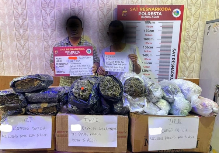 2 Pengirim 24 Kg Ganja via Ekspedisi Jaringan Aceh-Banten Dibekuk