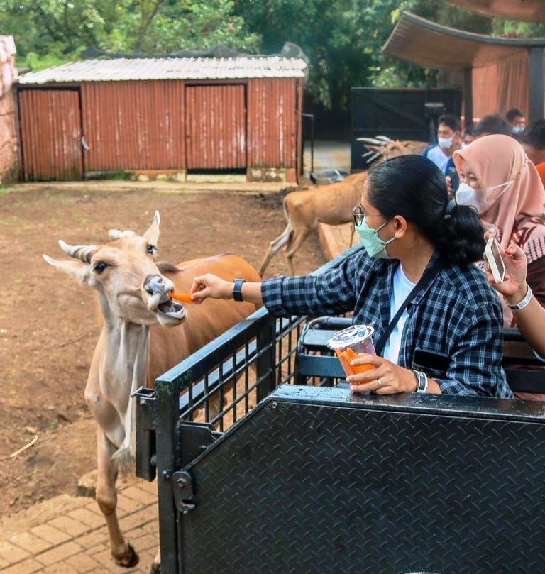 Jatim Park 2. Foto: @jatimparkdua