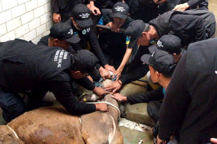 Pemkab Garut Siapkan Ratusan Juru Sembelih Hewan Kurban Bersertifikasi