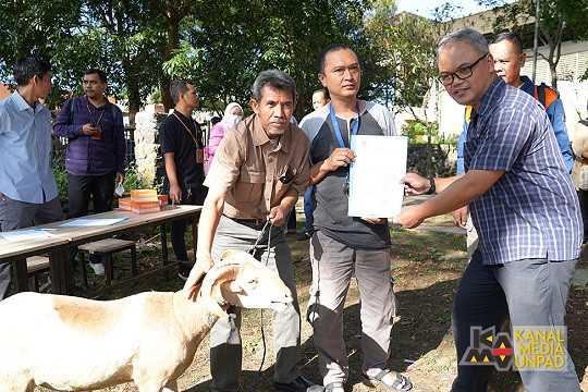 Jelang Iduladha 1444 H, Unpad Salurkan 90 Domba Hewan Kurban
