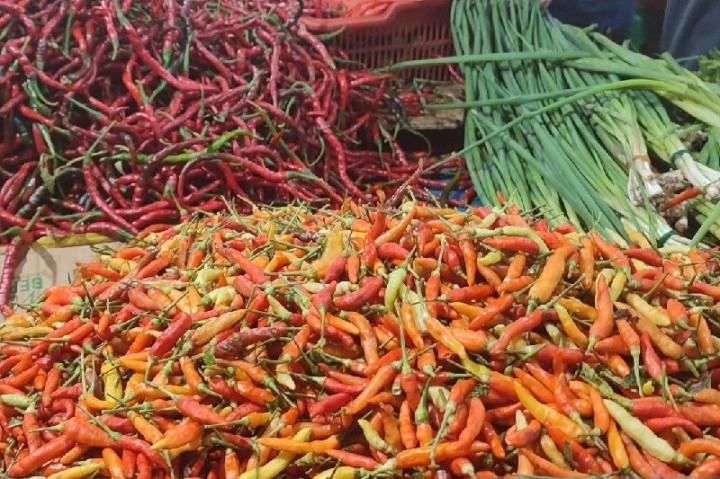 Harga Cabai Rawit Lokal di Jayapura Capai Rp120 Ribu per Kilogram
