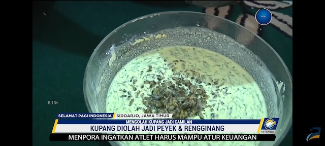 Inovasi Olahan Kupang Khas Sidoarjo, Peyek Pawon Ara