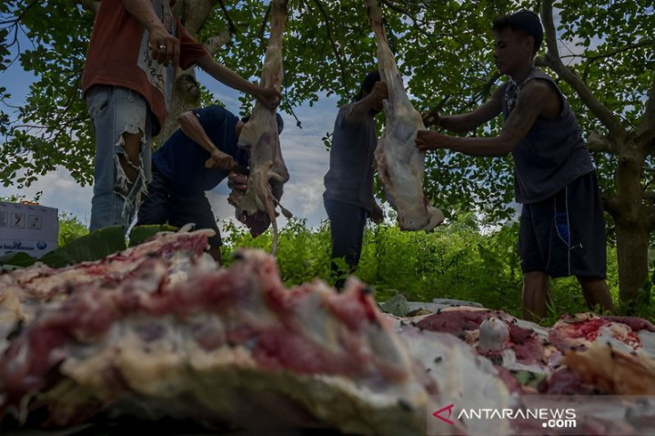 Pembagian Daging Kurban di Kota Palu Diimbau Tak Pakai Kantong Plastik