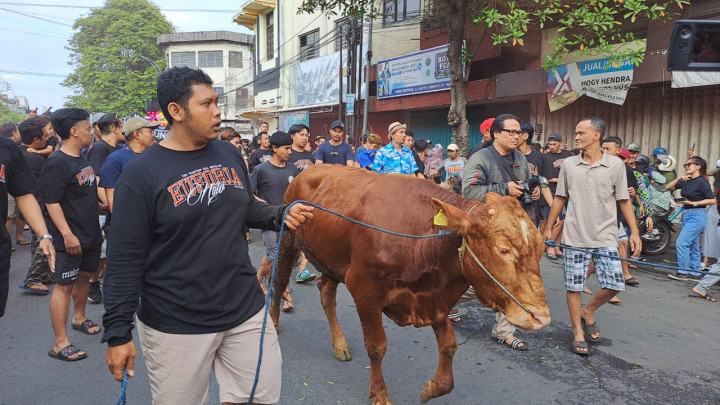 Tradisi Unik Warga Kampung Temenggungan Malang Arak Hewan Kurban Sebelum Disembelih